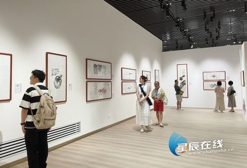 近百件藝術(shù)精品展現(xiàn)墨韻里的鄉(xiāng)愁 湘籍畫家蘇高宇作品展在長沙開幕